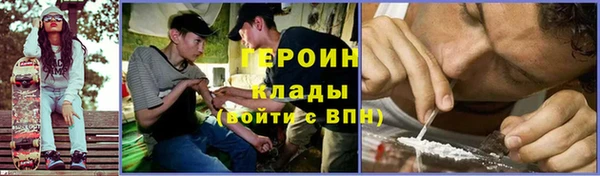 ПСИЛОЦИБИНОВЫЕ ГРИБЫ Новозыбков