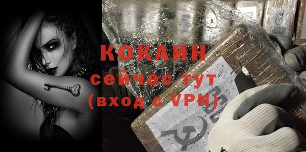 молекула духа Костерёво