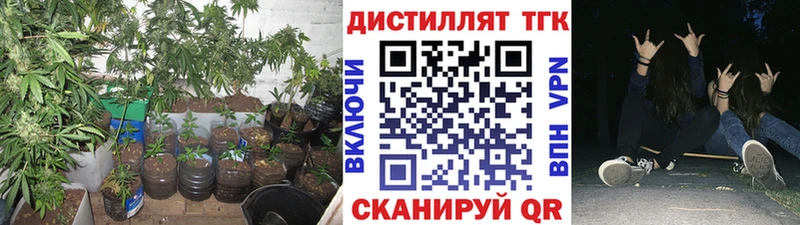 ТГК гашишное масло  Купить  Арск 