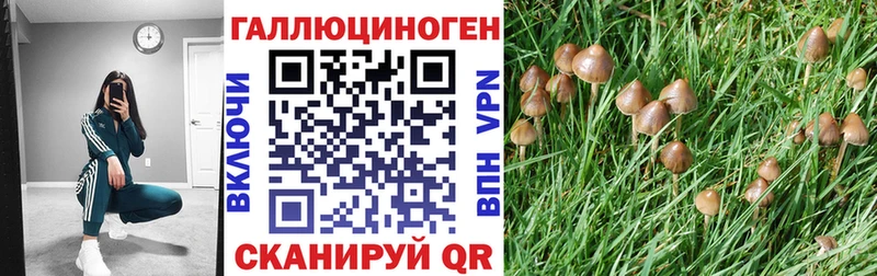 Купить закладки  Арск  Псилоцибиновые грибы мухоморы 