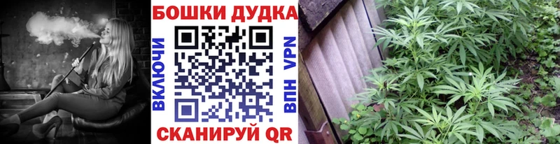 Бошки Шишки Amnesia  Купить закладки  Арск 